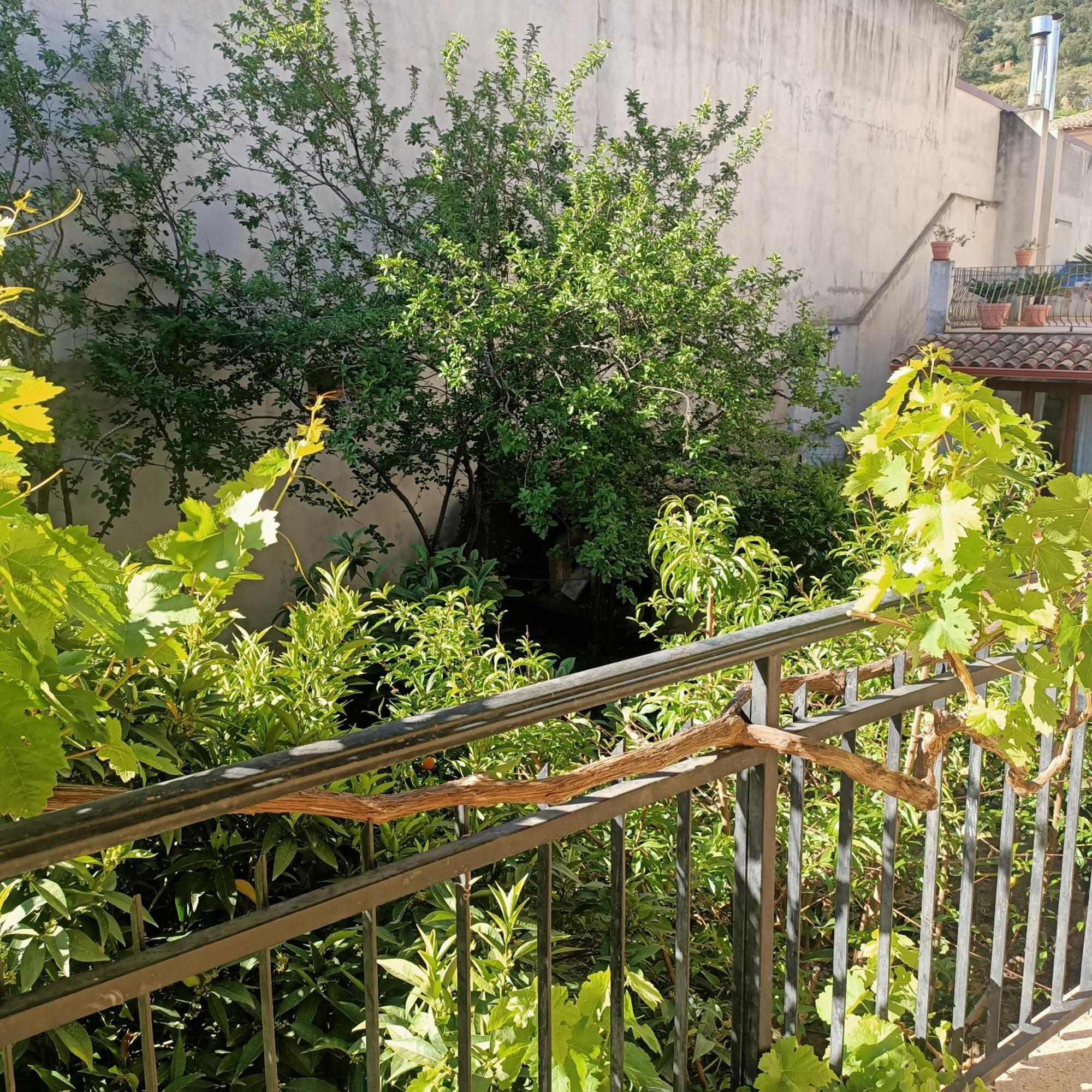 巴里萨尔多Janas House公寓 外观 照片